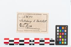 Etikett zu Bronzebuckelarmreif (NHMW-PRAE-023674)